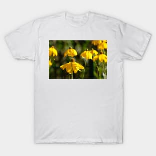 Flowering yellow coneflower T-Shirt